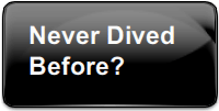 Never Diver Before?
