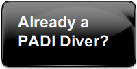 PADI Diver?